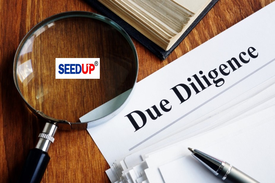 Business Due Diligence